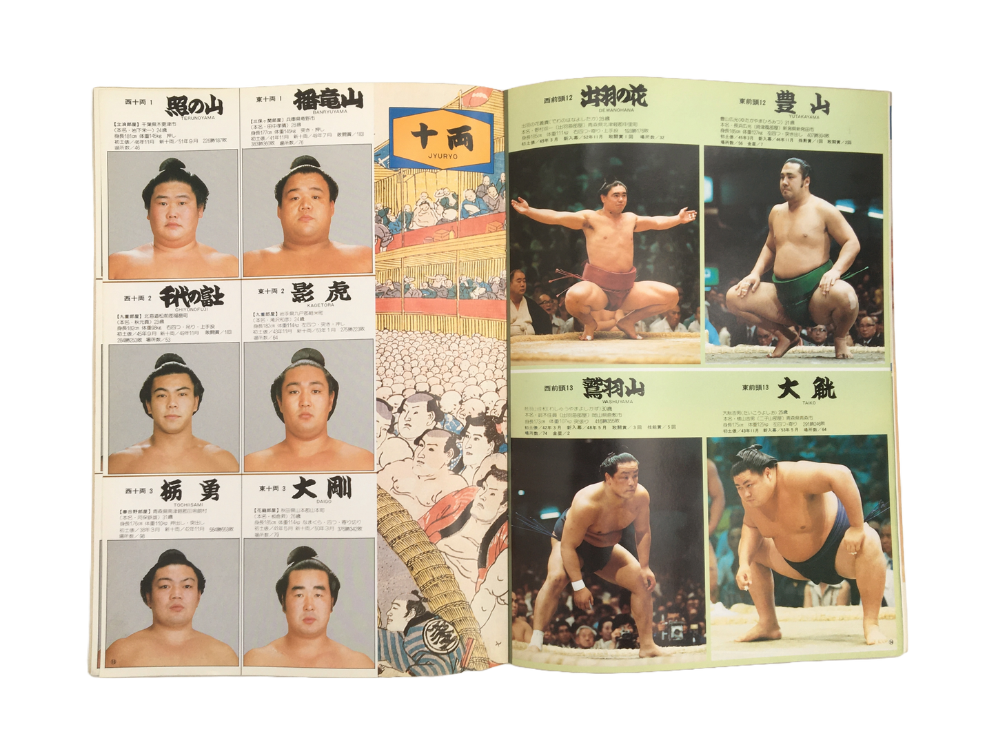 Sumo Program 1979